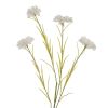 Cornflower Stem